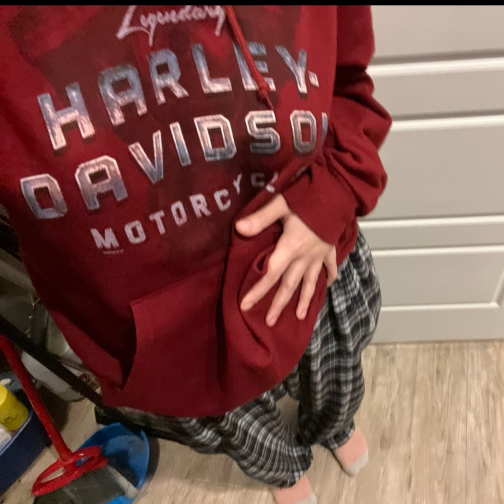 Harley davidson hoodie